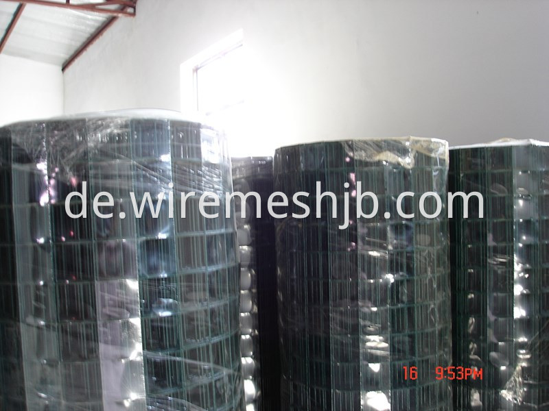 Welded Wire Mesh 